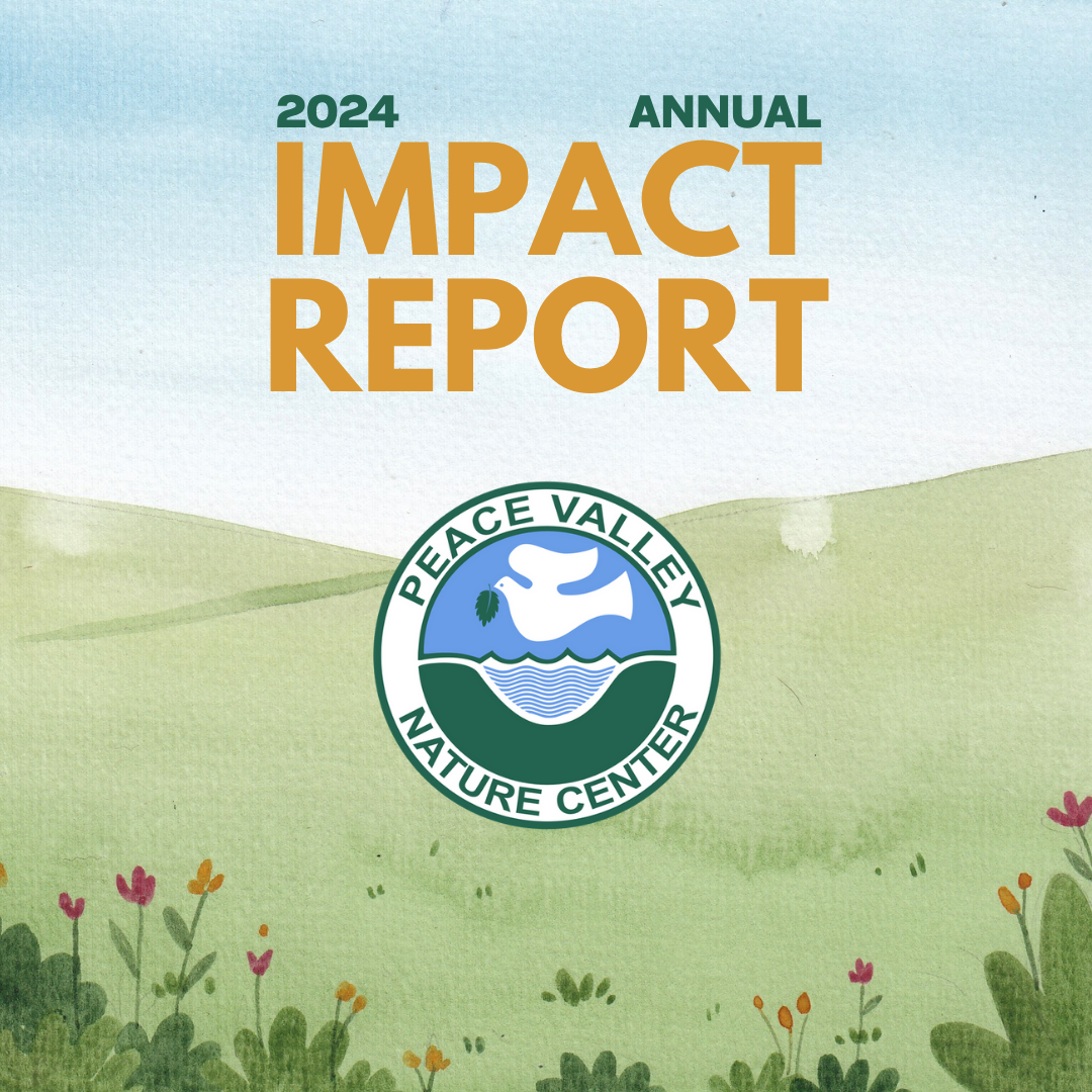 2024%20Annual%20Impact%20Report%20%20(1080%20x%201080%20px).png