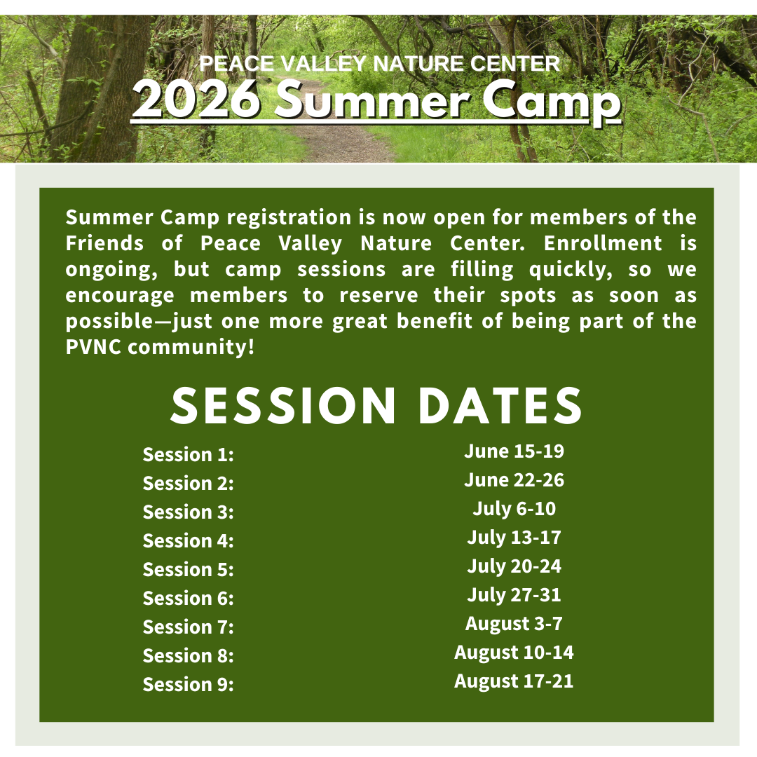 2026%20Summer%20Camp.png