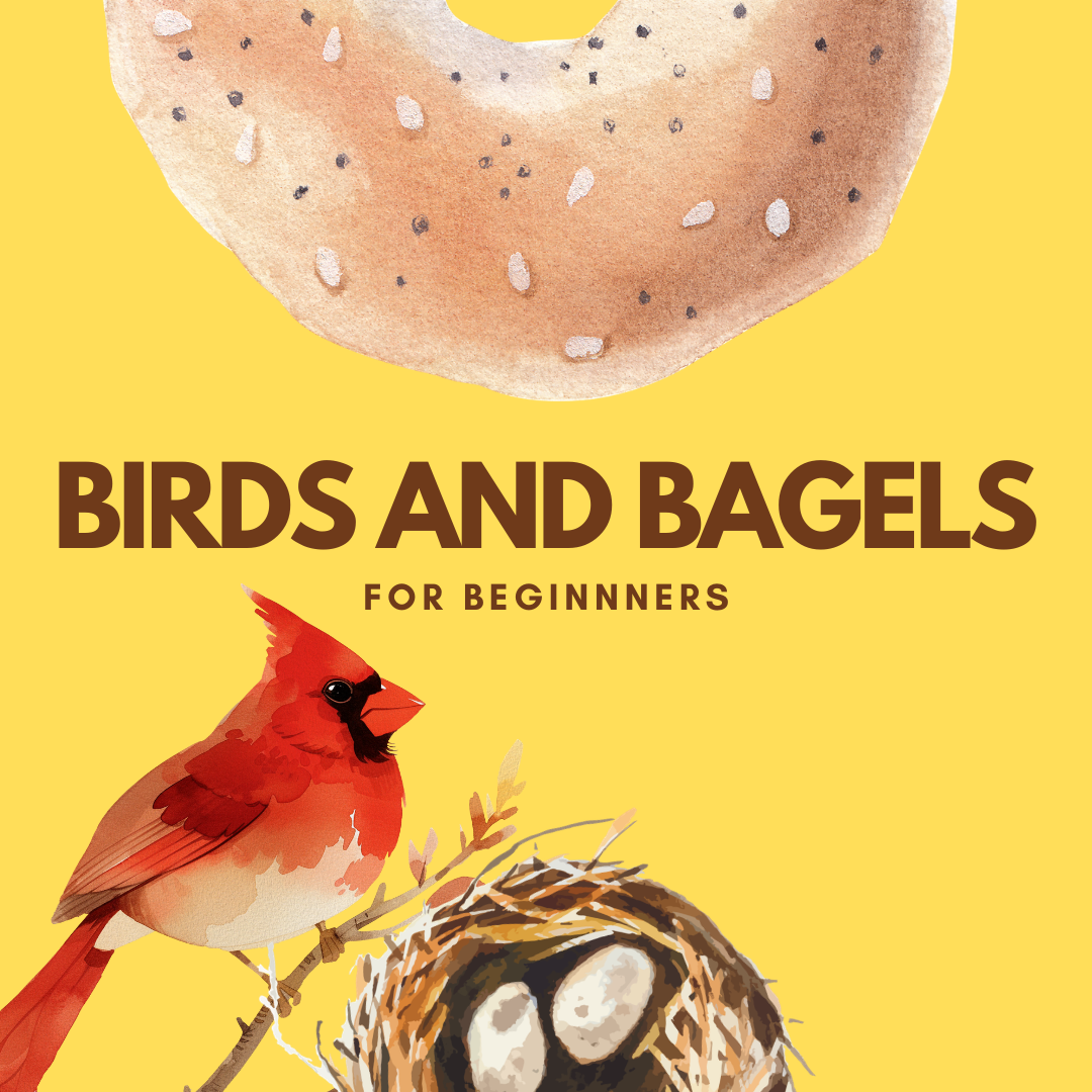 Birds%20and%20Bagels.png