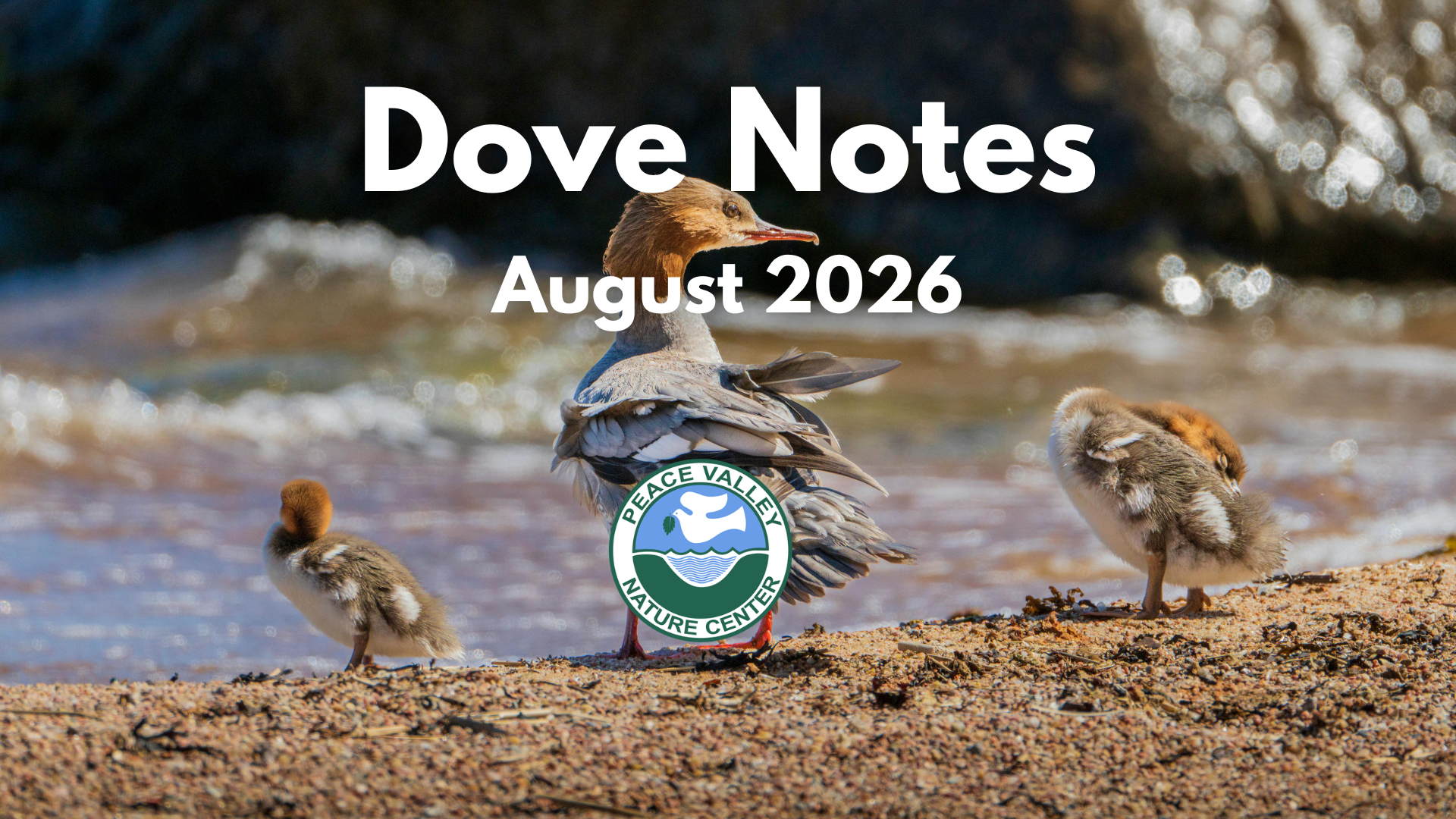 Dove%20Notes%20Aug%202026.png