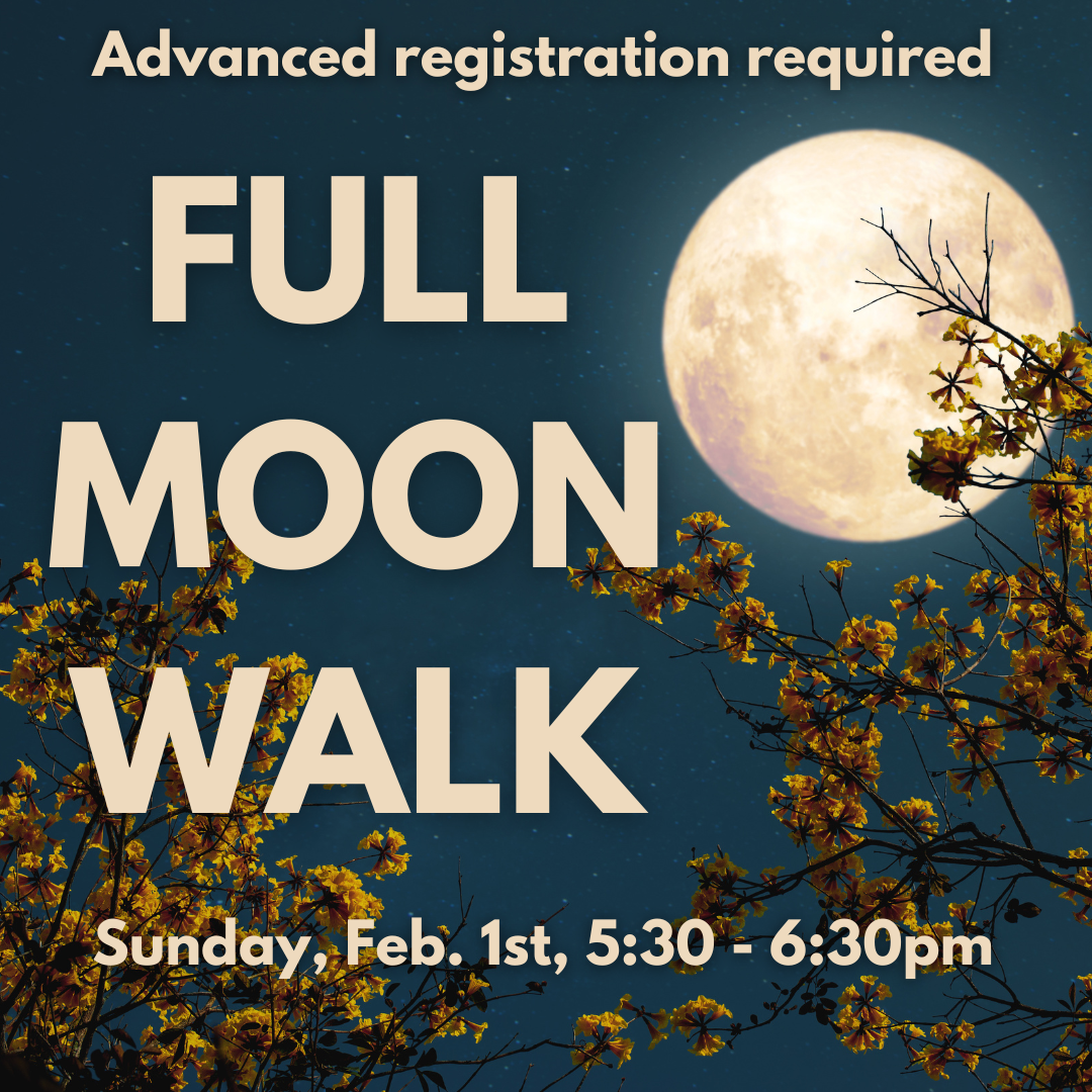 Feb%20Full%20Moon%202026.png