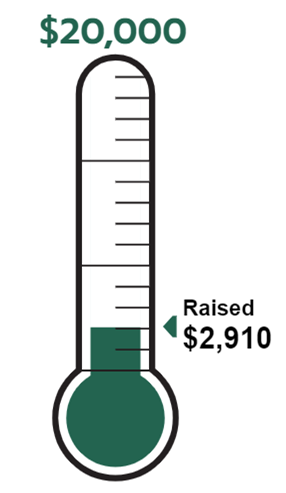 Fundraising%20goal.png