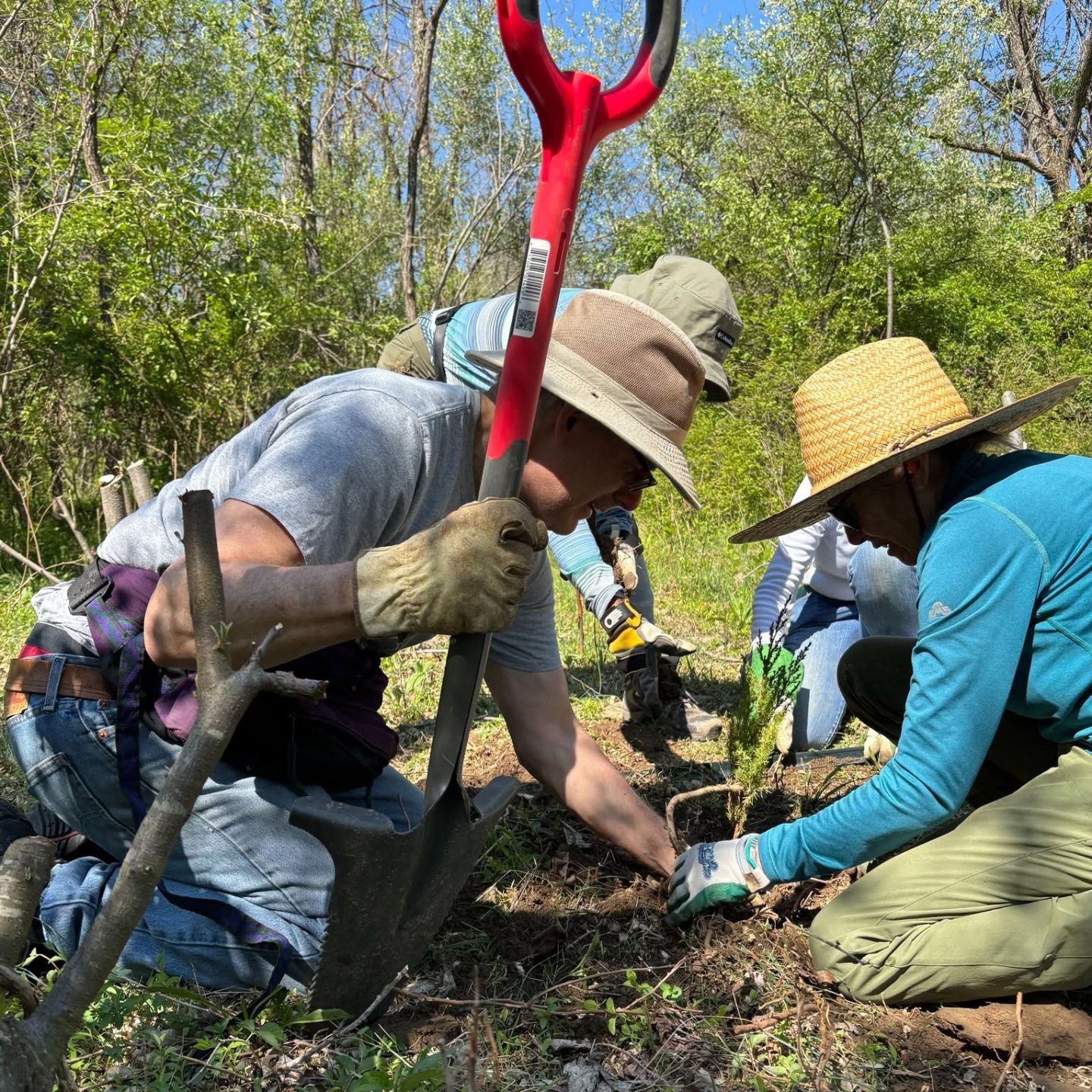 HOW%202.jpg
