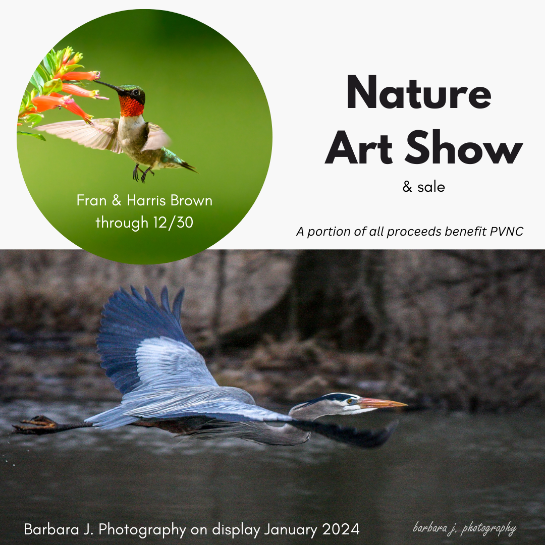 Nature%20Art%20Show