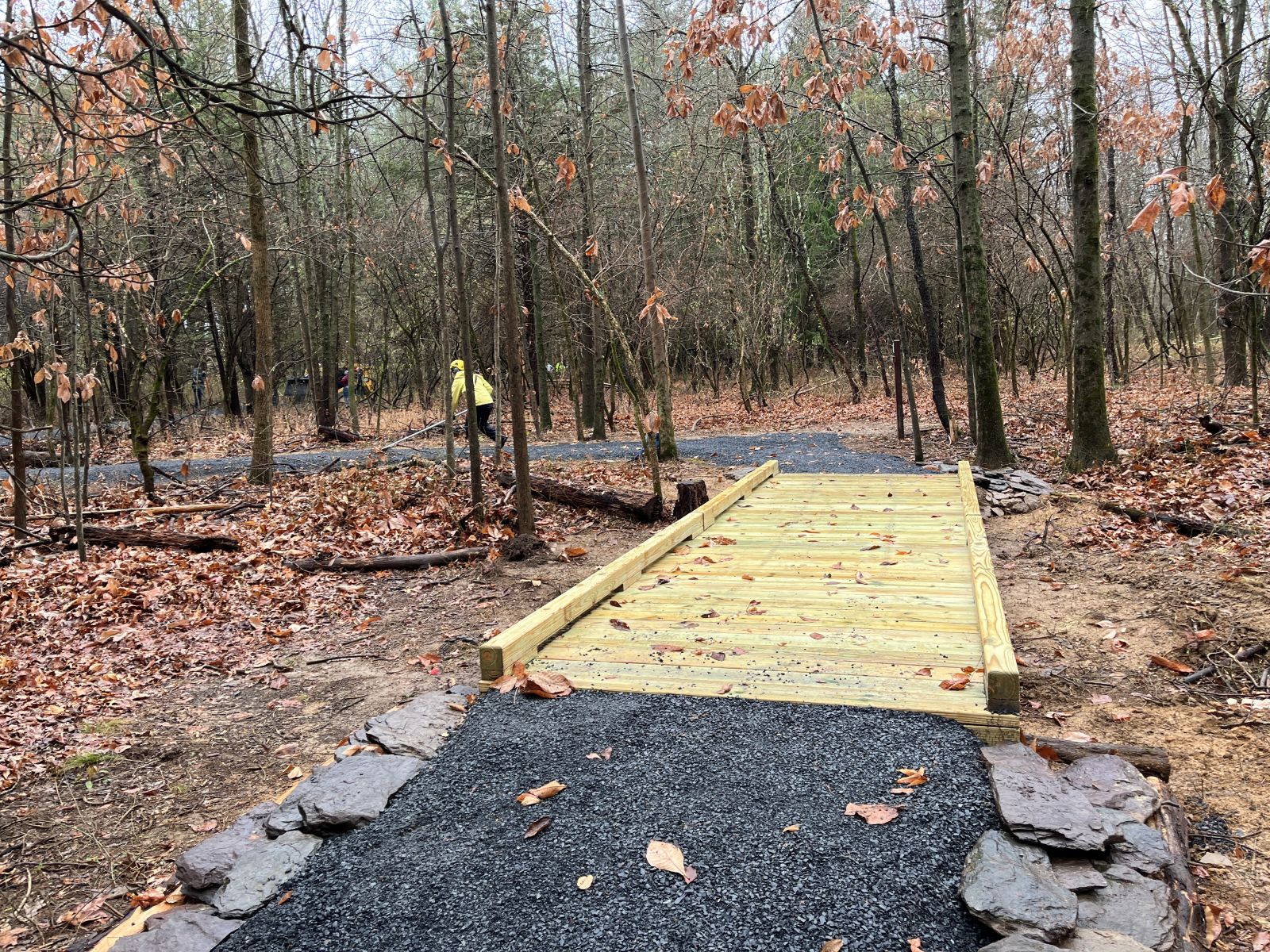 Pine%20path%20bridge.jpg